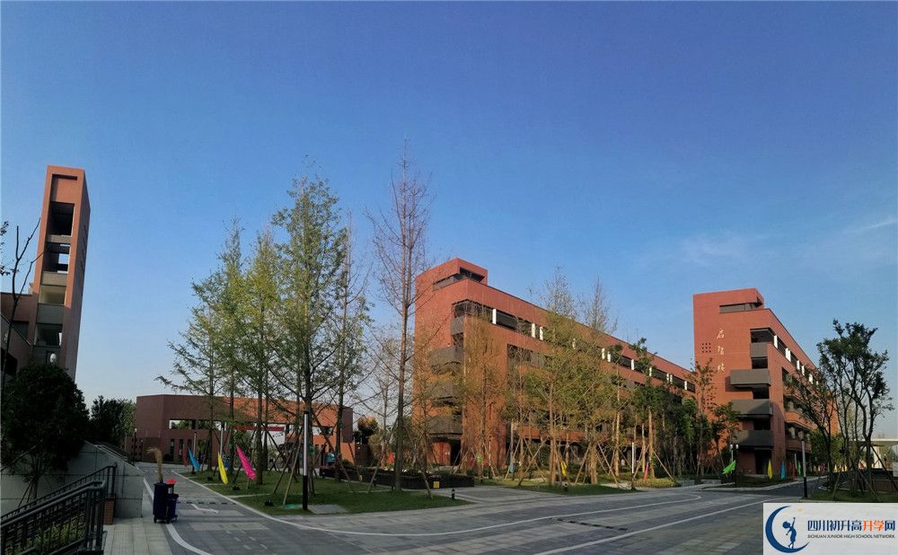 電子科技大學(xué)實驗中學(xué)2020年清華北大錄取學(xué)生有多少？