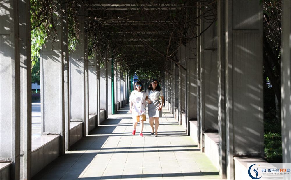成都市龍泉中學2020年清華北大人數(shù)是多少？