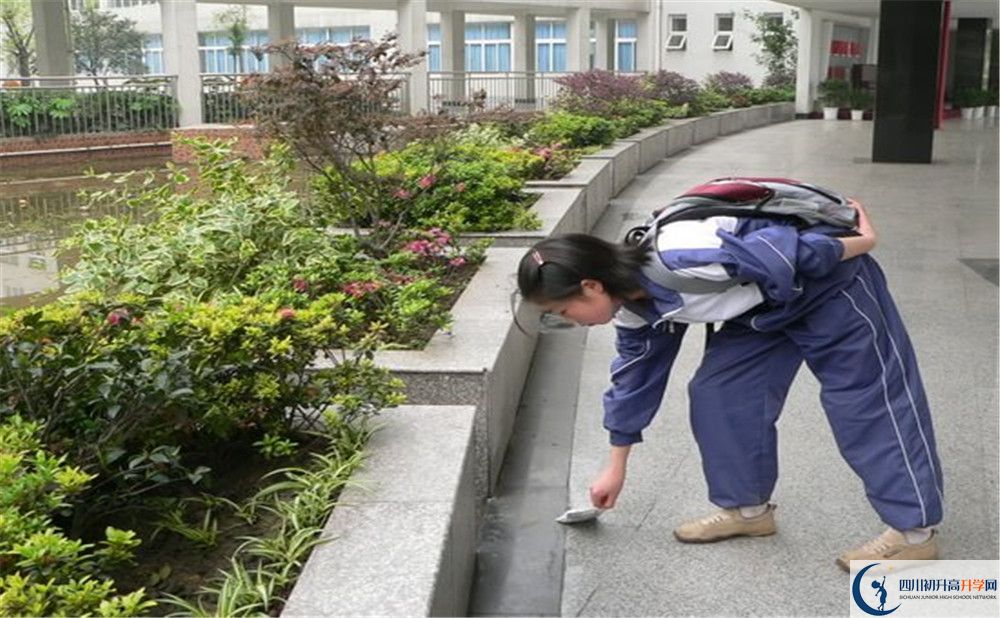 成都市龍泉中學(xué)初升高向外地招生嗎？