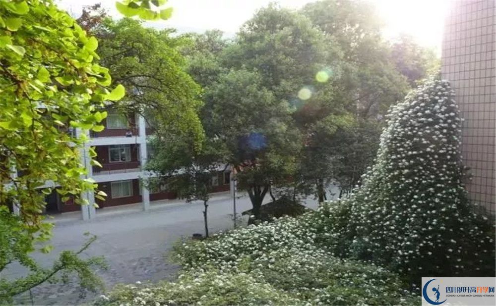 成都市石室聯(lián)中蜀華分校2020年保送清華北大的人數(shù)是多少？