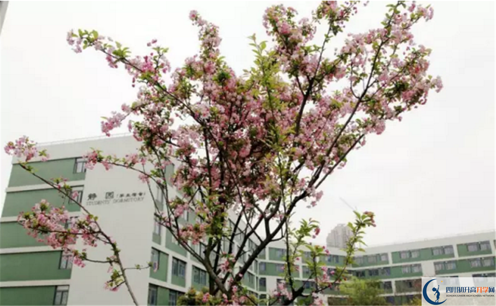 電子科技大學(xué)實(shí)驗(yàn)中學(xué)2020高一開(kāi)學(xué)時(shí)間是多久？