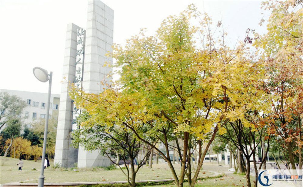 成都實(shí)驗(yàn)外國(guó)語(yǔ)學(xué)校（西區(qū)）2020年外地生學(xué)費(fèi)是多少？