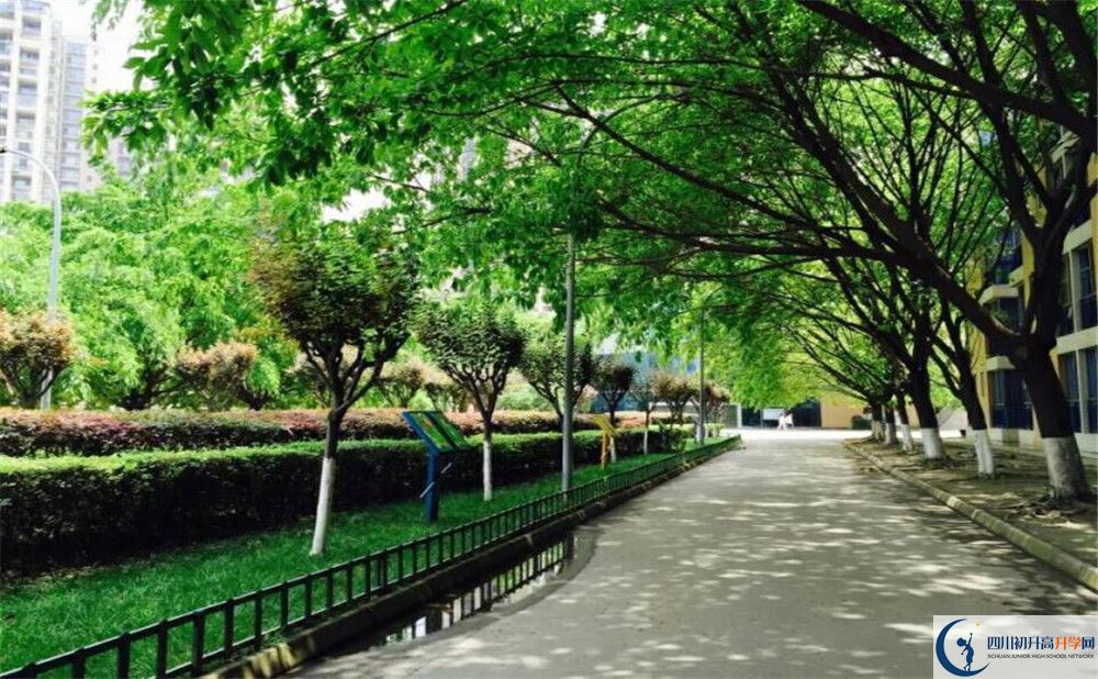 成都七中實(shí)驗(yàn)學(xué)校自主招生條件是什么？