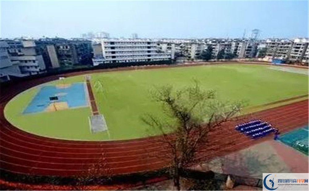 成都實(shí)外新都五龍山學(xué)校招生考試科目有哪些？
