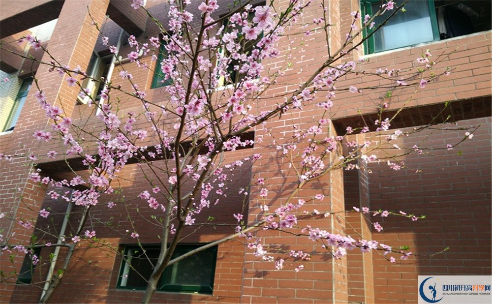 都江堰育才學校自主招生條件是什么？