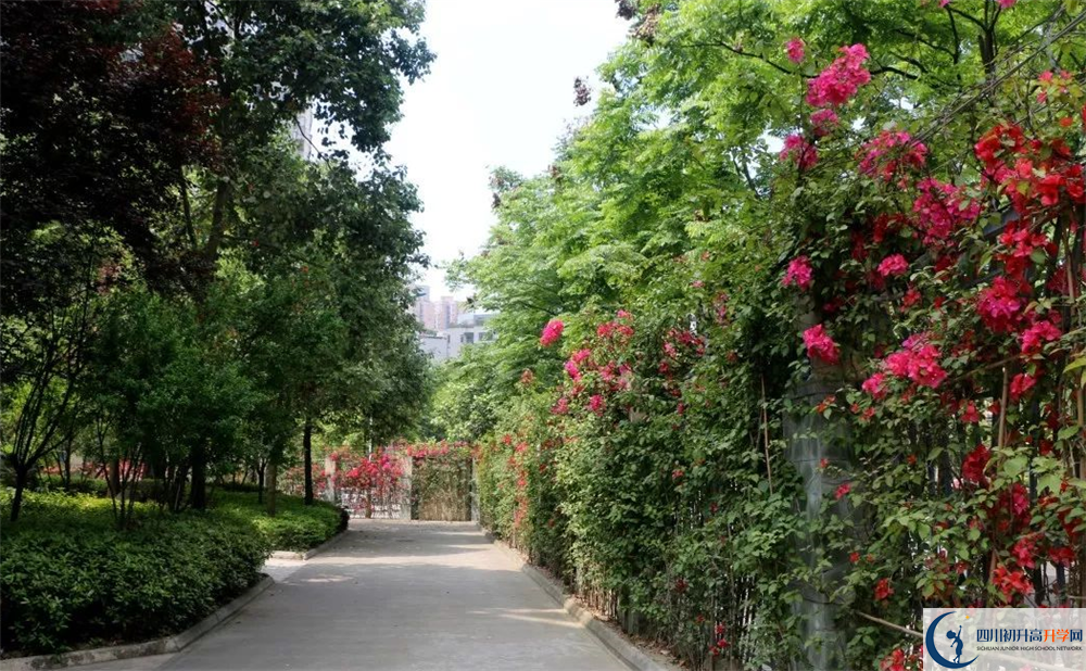 成都市第三中學(xué)平行班與實(shí)驗(yàn)班差多少？