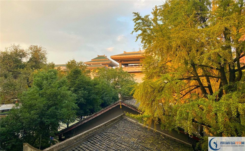 成都石室中學(xué)位置在哪里？