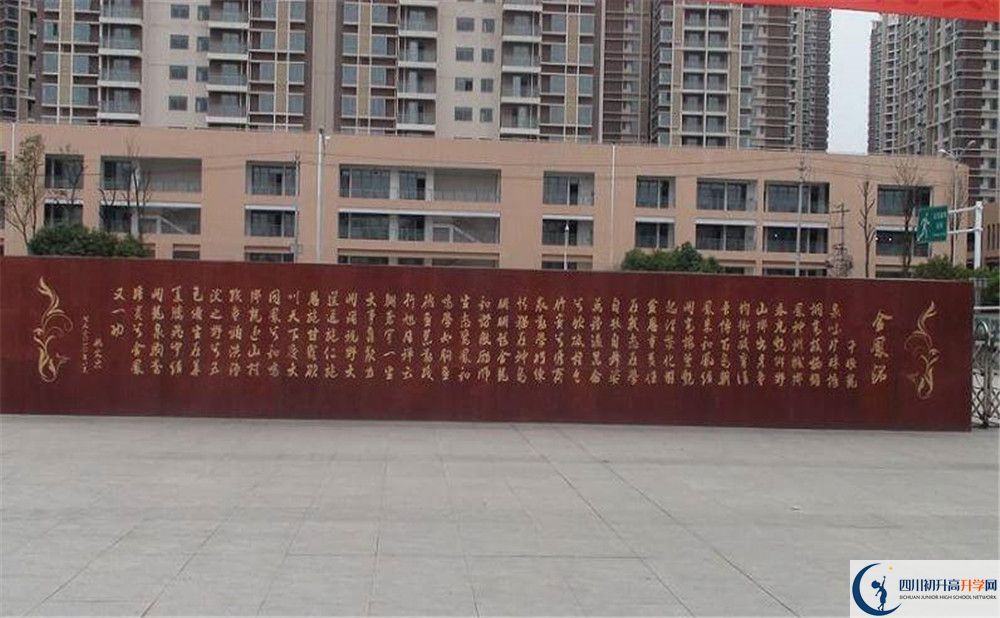 成都經(jīng)濟(jì)技術(shù)開發(fā)區(qū)實(shí)驗(yàn)中學(xué)2020年全國排名是多少？