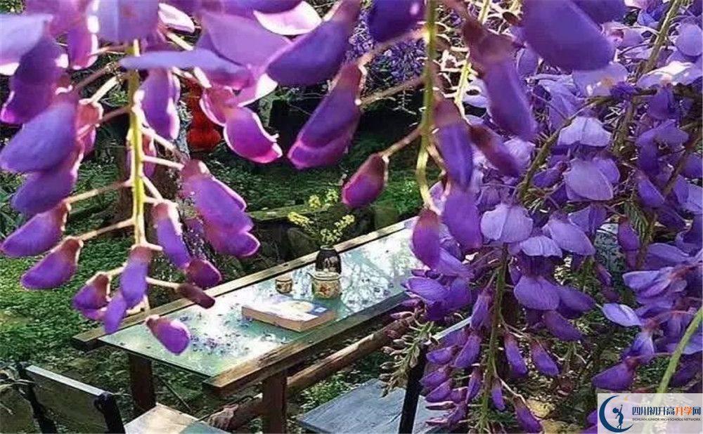 郫縣三中平行班與實(shí)驗(yàn)班差多少？