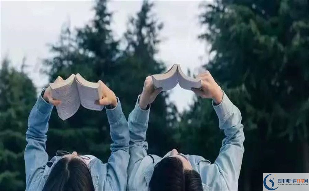 2020樹德博瑞實(shí)驗(yàn)學(xué)校初升高分班考試題難不難？			