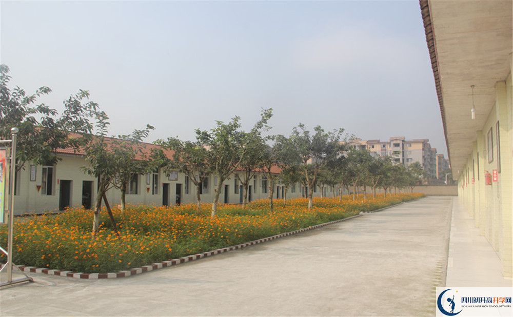 強(qiáng)項實驗中學(xué)在全國高中排名多少？