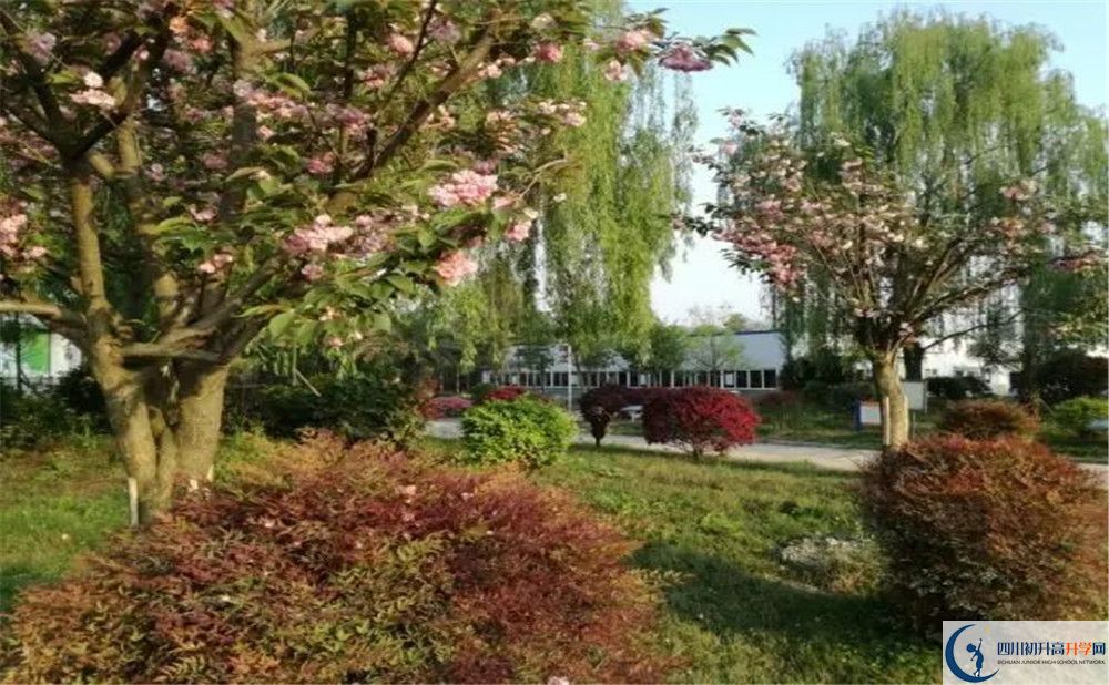 四川師范大學(xué)附屬第三實驗中學(xué)實驗班人數(shù)是多少？