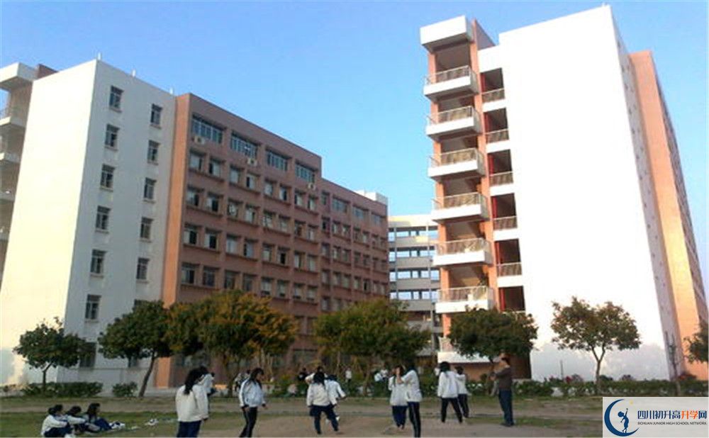 2020新津中學(xué)期末試卷數(shù)學(xué)在哪看？