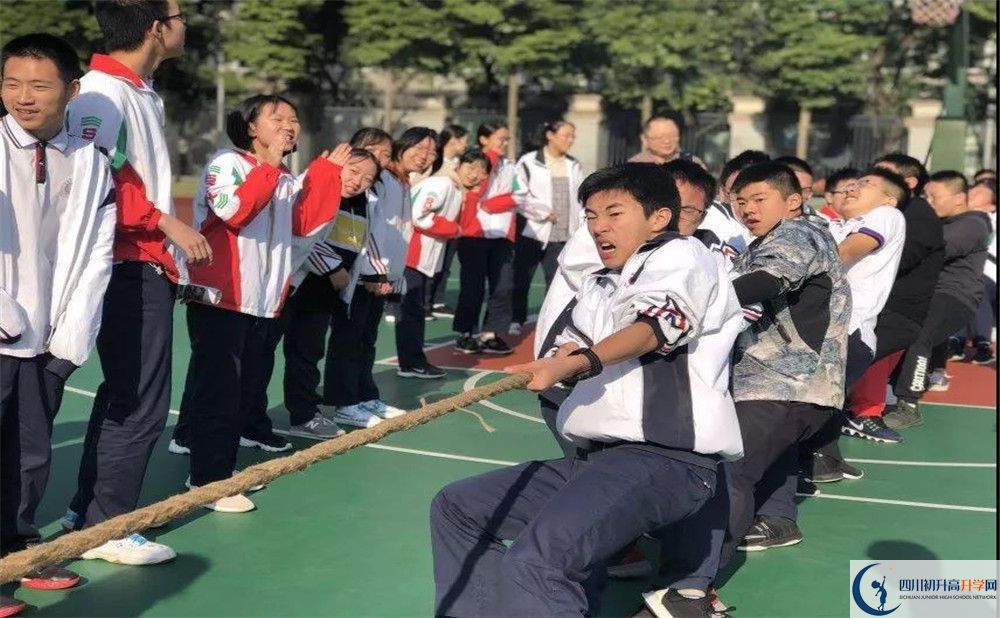 成都樹德中學(xué)面向全國招生嗎？