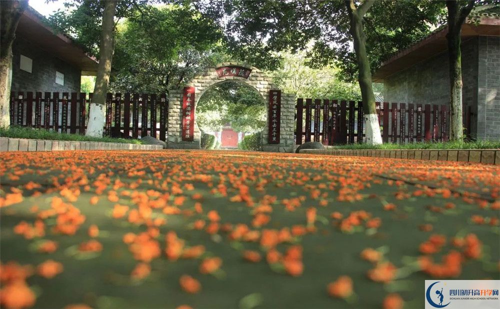 成都七中高新校區(qū)平行班中考重點(diǎn)率是多少？