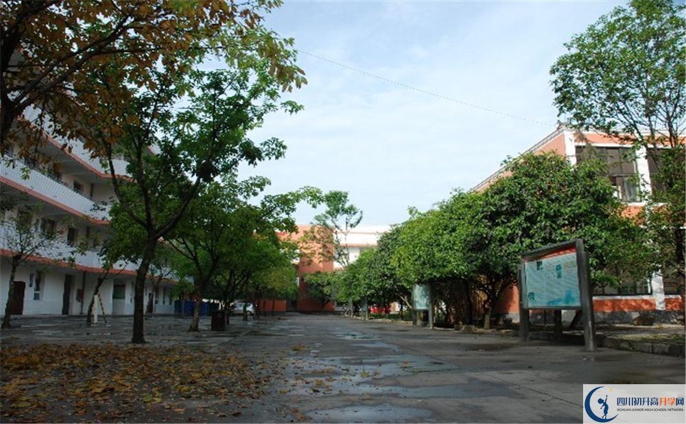 大邑中學(xué)平行班中考重點(diǎn)率是多少？