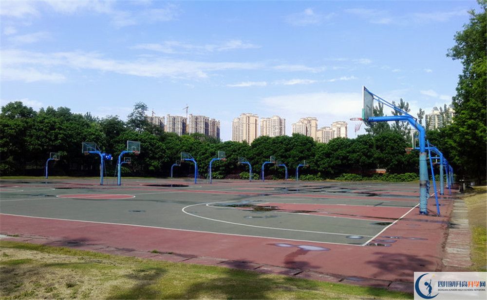 成都實(shí)驗(yàn)外國(guó)語(yǔ)學(xué)校（西區(qū)）補(bǔ)課嗎？