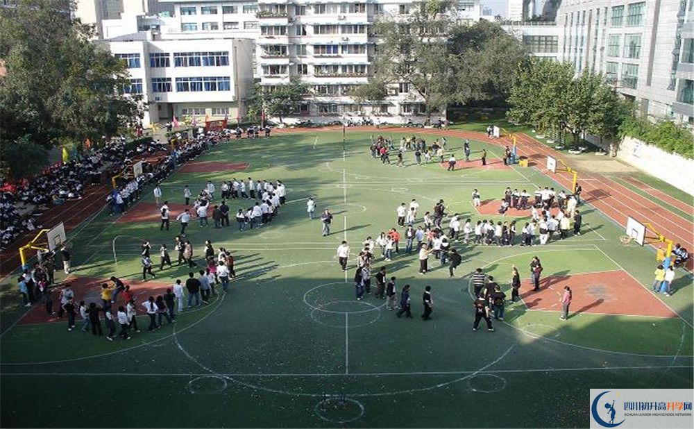 樹德博瑞實驗學校在校學生總人數(shù)是多少？