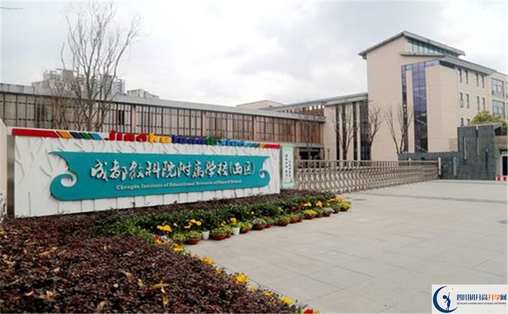 成都教科院附屬學(xué)校2020年高考人數(shù)是多少？
