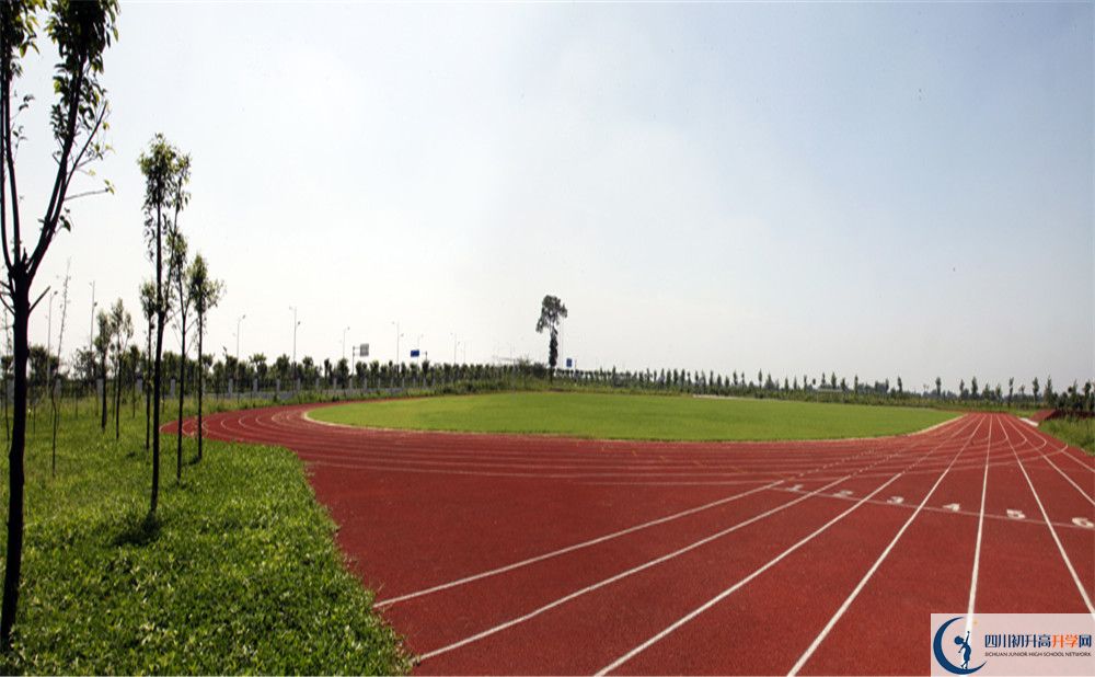 攀枝花市體育中學2020年中考錄取分數(shù)線是多少？
