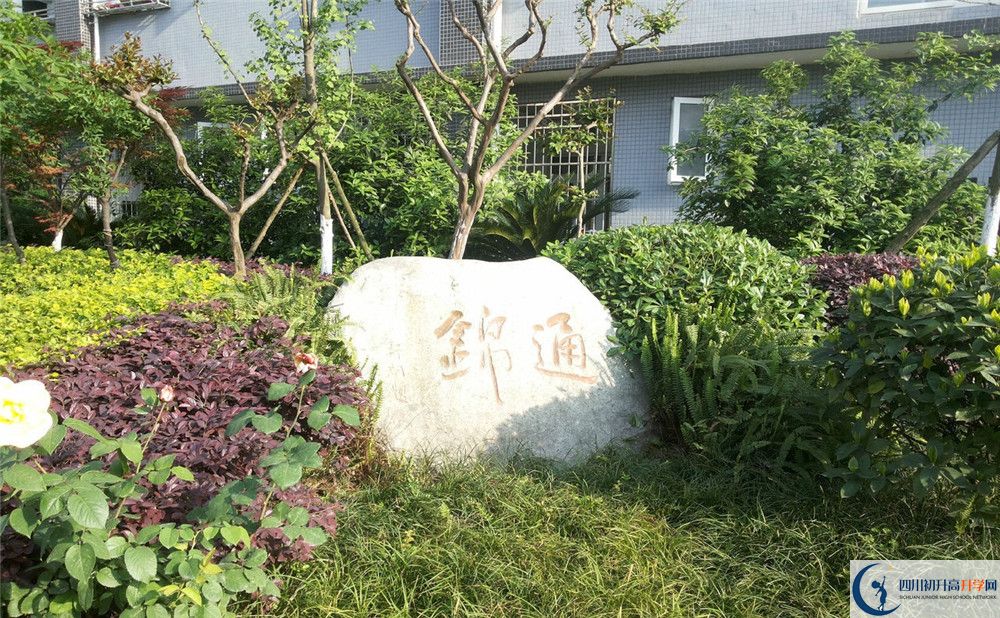 通錦中學(xué)2020年開(kāi)學(xué)時(shí)間安排是怎樣的？