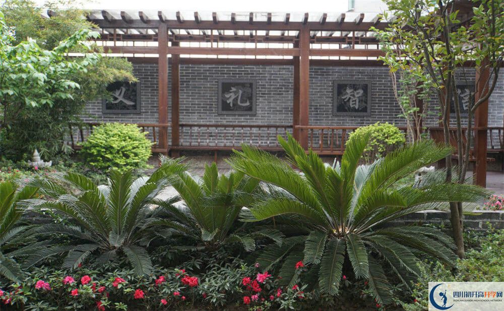 成都八中高三診斷考試時(shí)間怎么安排？