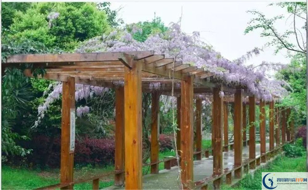 廣安花橋中學(xué)高三診斷考試時(shí)間怎么安排？