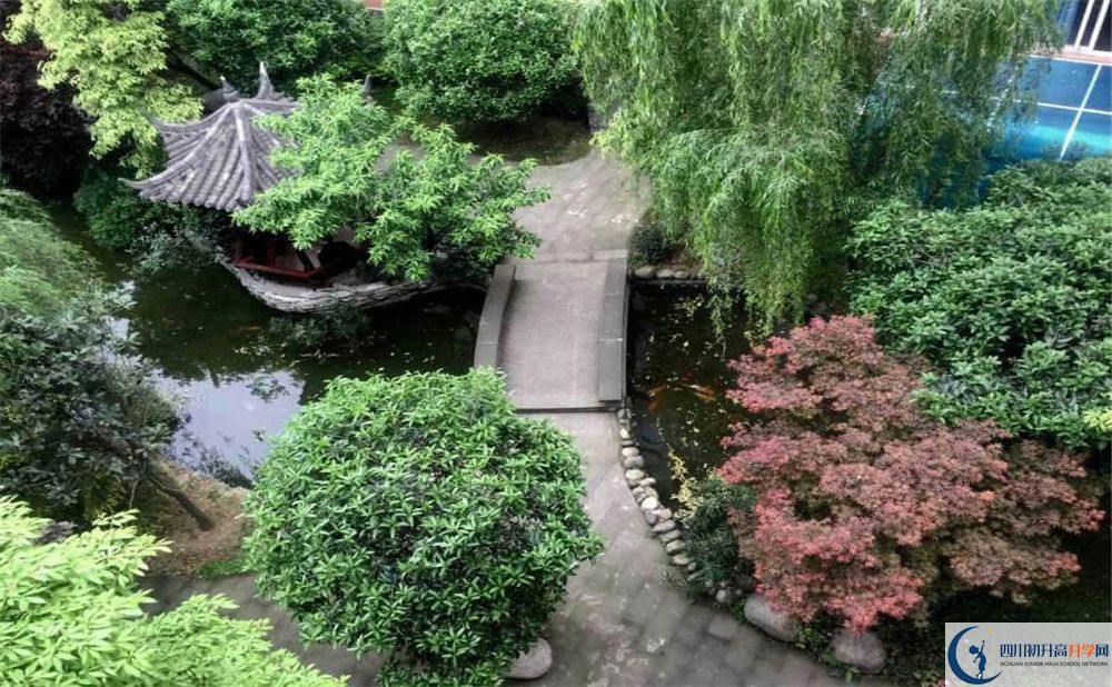 八中學(xué)校要多少分？