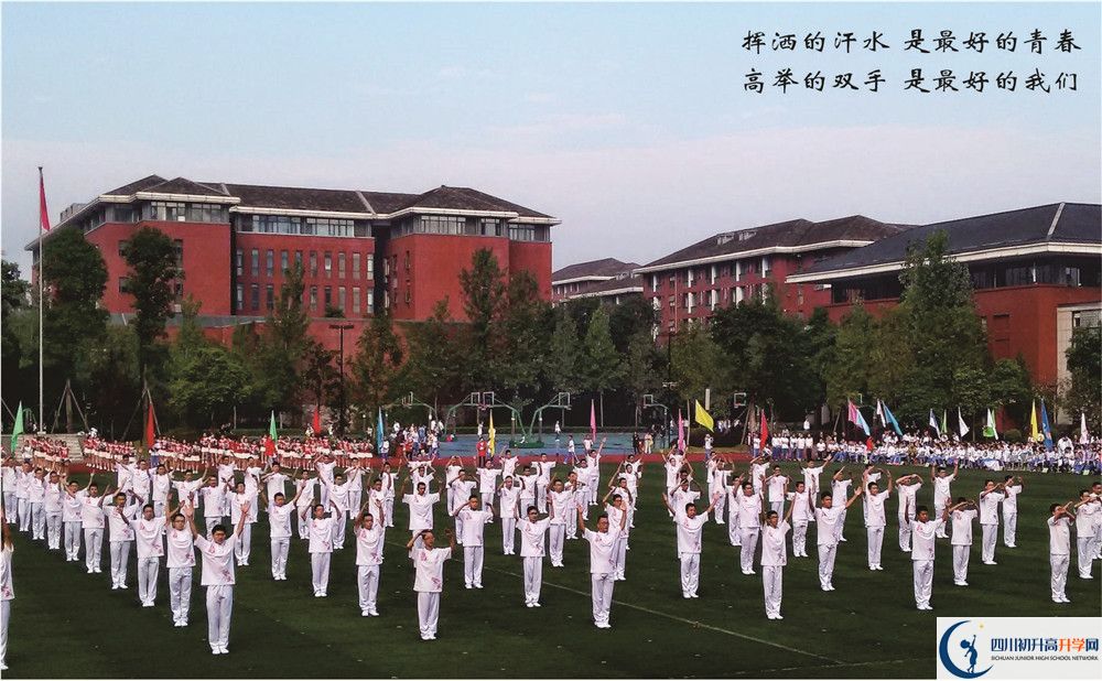 成都七中高新校區(qū)2020年招生范圍有多大？