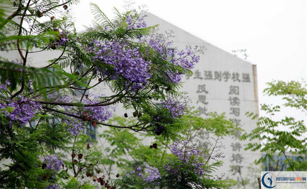 2020年成都實(shí)驗(yàn)外國語學(xué)校西區(qū)費(fèi)用是多少？