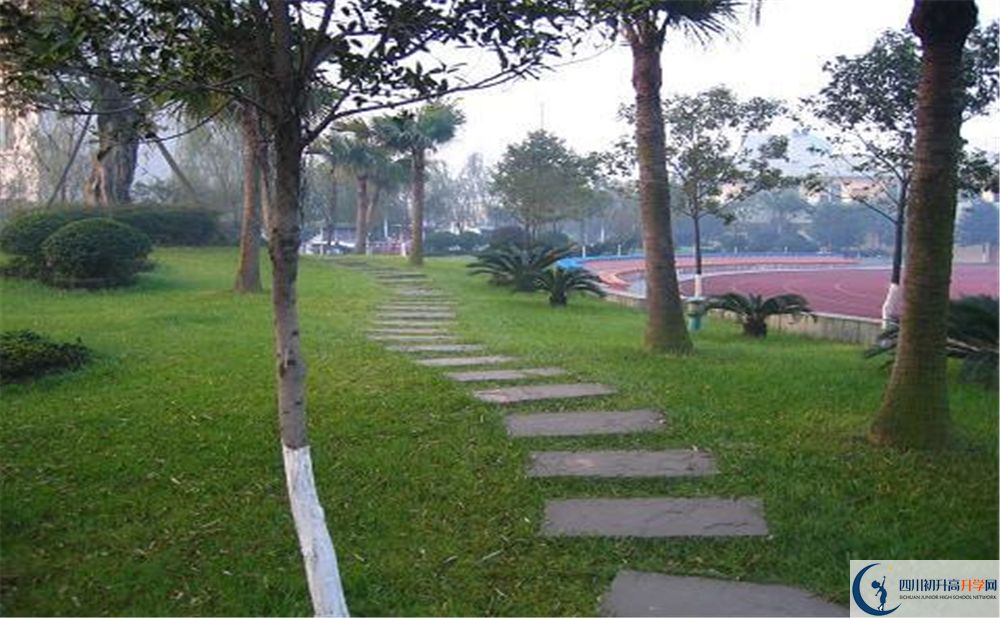 石室佳興外國(guó)語(yǔ)學(xué)校2020年是幾類？
