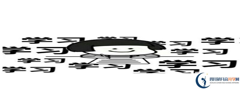 成都外國語學(xué)校和成都美視國際學(xué)校哪個好？